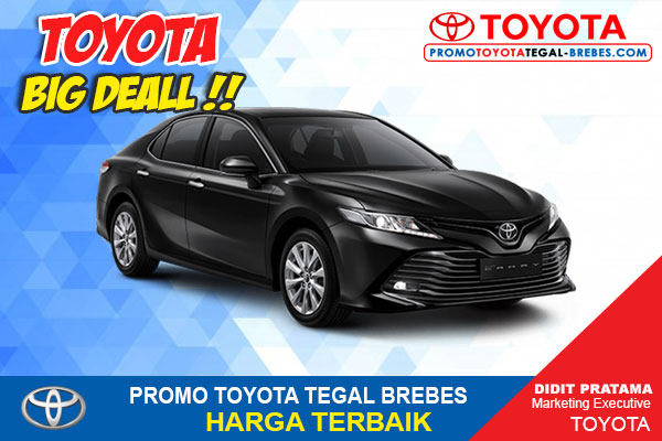 Toyota New Camry